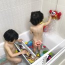 키드코1호 | [육아굿즈] 호호둥이 게거품 버블크랩 목욕장난감 키드코 욕실정리함으로 목욕놀이
