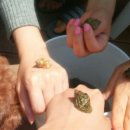 애견민박 멍집 이미지