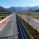 완도수목원 가로수길 이미지