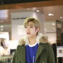 바닐리 이미지