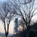 흥부바지걸쳐입고 이미지