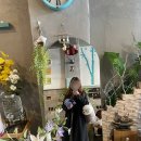 에바다애견 이미지