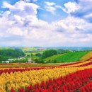 명신관광 이미지