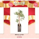 25시플라워