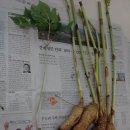 천마세탁소 이미지