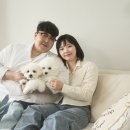 퓨어무드스튜디오