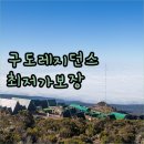 구도 레지던스 충무로 | 충무로 구도 레지던스.. 2024년 오픈, 최저가 보장으로 만나는 특별한 서울 숙소!