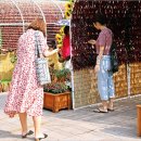 서울광장 고추터널 이미지