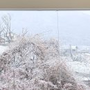 고유지 | w.8 대구 고유 스튜디오 웨딩 촬영 후기