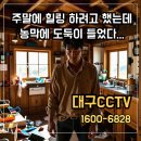 방우농장 | 주말에만 이용하는 농막, 범죄에 노출되어 있습니다. 대구CCTV 설치 필수
