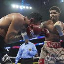 J World boxing 이미지