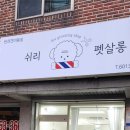 쉬리펫살롱 이미지