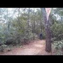 중고개길 이미지