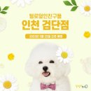 털로 덮인 친구들 인천검단점 이미지