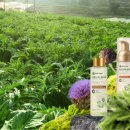 뷰티라인업 이미지