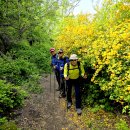 서울둘레길걷기83코스(형제봉입구-화계사역간 7.2Km) 이미지