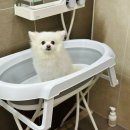 소다펫 | 강아지 욕조 딩동펫 반려동물 논슬립 스탠드 접이식 욕조 내돈내산 4개월 사용 후기
