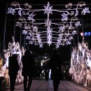 태백시장애인단체총연합회 이미지