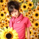 (주)시디스튜디오 이미지