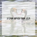 쉼표한의원 이미지