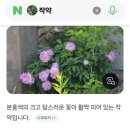 인걸은 간데없네 이미지