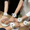 스테이유유자적
