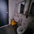 대구들안길초등학교 이미지