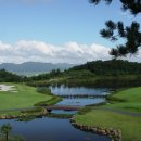 포라이즌 이미지