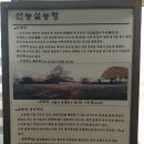 선농설농탕
