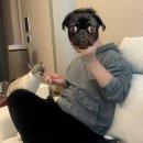 방배로27길 27 이미지