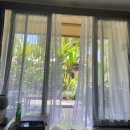 요가보롬앳더코티지 | 240927-02_발리 우붓 + 짱구 숙소_후기(Jati cottage_Komaneka at tanggayuda_Chesa canggu)