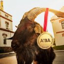 바라도스 이미지