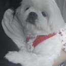 내유길80번길 이미지