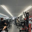 아나토미 스트랭스 이미지