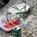 캠핑소리251 이미지