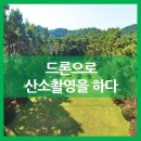 이삼이칠 네이버블로그