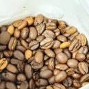 그린디벨롭먼트 | 맛있는원두 세네카커피 당일로스팅원두 에티오피아 시다모 솔직후기