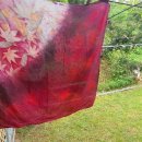 너울농장 이미지