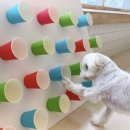 털로덮인친구들 동탄호수공원점 이미지