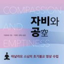 연민 이미지