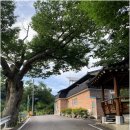 하백경로당 네이버블로그