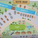 속초대게마을 이미지