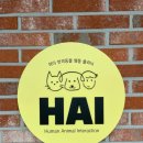 더힐링동물병원 이미지