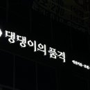 댕댕이의품격