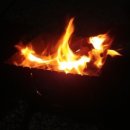 숲이조아캠핑장 이미지