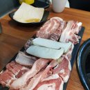 돌리고제주도야지 이미지