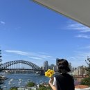 라벤더 민박 이미지