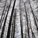 추성산장 이미지