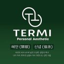 테르미