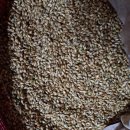 동처농장 이미지